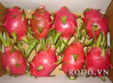 Dragon fruit white flesh