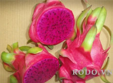 Dragon fruit red flesh