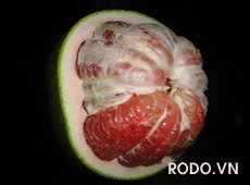 Pomelo pink flesh